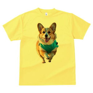 R[M[ TVc fB[X t@  t  vg JWA 킢 lԗp h ̃fUC ʔ R[M[