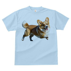 R[M[ TVc fB[X t@  t  vg JWA 킢 lԗp h ̃fUC ʔ Ȃ R[M[