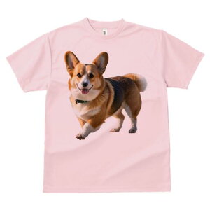 EFVR[M[ TVc fB[X t@  t  vg JWA 킢 lԗp h ̃fUC ʔ  EFVR[M[ 킢 ybg 