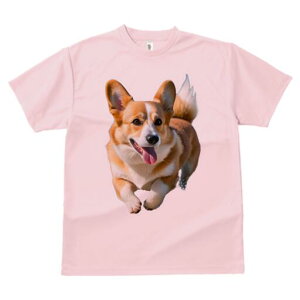 R[M[ TVc fB[X t@  t  vg JWA 킢 lԗp h ̃fUC ʔ R[M[