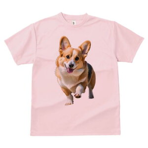 R[M[ TVc fB[X t@  t  vg JWA 킢 lԗp h ̃fUC ʔ R[M[