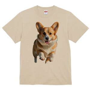 R[M[ TVc fB[X t@  t  vg JWA 킢 lԗp h ̃fUC ʔ R[M[