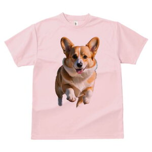 R[M[ TVc fB[X t@  t  vg JWA 킢 lԗp h ̃fUC ʔ R[M[