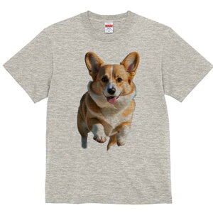 R[M[ TVc fB[X t@  t  vg JWA 킢 lԗp h ̃fUC ʔ R[M[