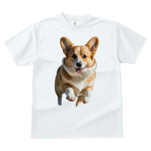 R[M[ TVc fB[X t@  t  vg JWA 킢 lԗp h ̃fUC ʔ R[M[