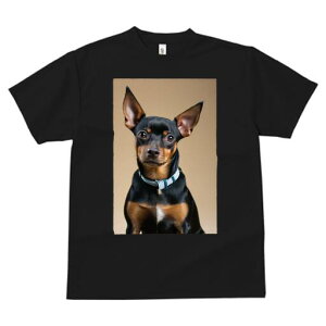 ~j`AsV[ TVc fB[X t@  t  vg JWA 킢 lԗp h ̃fUC ʔ ̎ ~j`AsV[