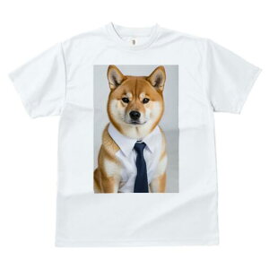 Č TVc fB[X t@  t  vg JWA 킢 lԗp h ̃fUC ʔ CVc Č lN^C