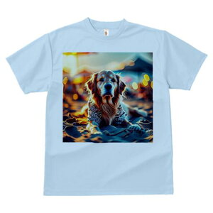 S[fgo[ TVc fB[X t@  t  vg JWA 킢 lԗp h ̃fUC ʔ r[` S[fgo[ [ C