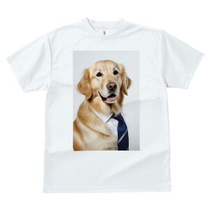 S[fgo[ TVc fB[X t@  t  vg JWA 킢 lԗp h ̃fUC ʔ CVc S[fgo[ lN^C