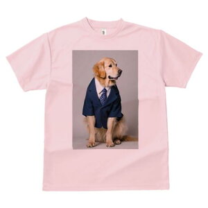 S[fgo[ TVc fB[X t@  t  vg JWA 킢 lԗp h ̃fUC ʔ X[c S[fgo[ lN^C CV