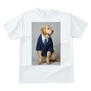 S[fgo[ TVc fB[X t@  t  vg JWA 킢 lԗp h ̃fUC ʔ X[c S[fgo[ lN^C CV