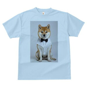 Č TVc fB[X t@  t  vg JWA 킢 lԗp h ̃fUC ʔ lN^C Č Vc