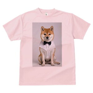 Č TVc fB[X t@  t  vg JWA 킢 lԗp h ̃fUC ʔ lN^C Č Vc