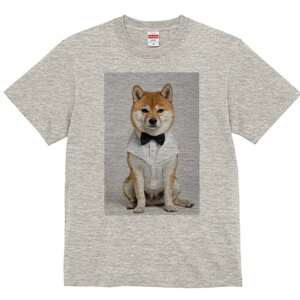 Č TVc fB[X t@  t  vg JWA 킢 lԗp h ̃fUC ʔ lN^C Č Vc