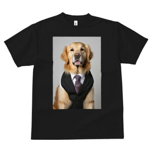 S[fgo[ TVc fB[X t@  t  vg JWA 킢 lԗp h ̃fUC ʔ X[c S[fgo[ lN^C CV