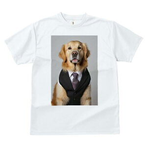 S[fgo[ TVc fB[X t@  t  vg JWA 킢 lԗp h ̃fUC ʔ X[c S[fgo[ lN^C CV