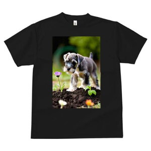 ~j`AViEU[ TVc fB[X t@  t  vg JWA 킢 lԗp h ̃fUC ʔ  ~j`AViEU[ 