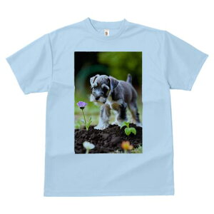 ~j`AViEU[ TVc fB[X t@  t  vg JWA 킢 lԗp h ̃fUC ʔ  ~j`AViEU[ 