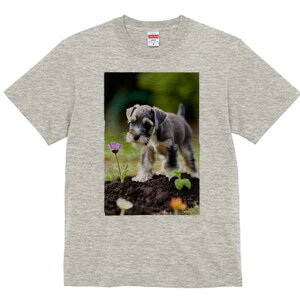 ~j`AViEU[ TVc fB[X t@  t  vg JWA 킢 lԗp h ̃fUC ʔ  ~j`AViEU[ 