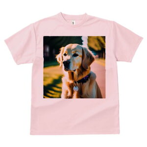 S[fgo[ TVc fB[X t@  t  vg JWA 킢 lԗp h ̃fUC ʔ U S[fgo[ 