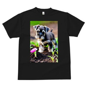 ~j`AViEU[ TVc fB[X t@  t  vg JWA 킢 lԗp h ̃fUC ʔ  ~j`AViEU[ A y