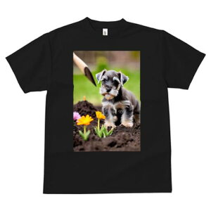 ~j`AViEU[ TVc fB[X t@  t  vg JWA 킢 lԗp h ̃fUC ʔ  ~j`AViEU[  y Vx