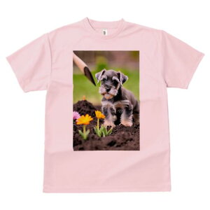 ~j`AViEU[ TVc fB[X t@  t  vg JWA 킢 lԗp h ̃fUC ʔ  ~j`AViEU[  y Vx