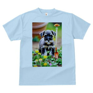 ~j`AViEU[ TVc fB[X t@  t  vg JWA 킢 lԗp h ̃fUC ʔ  ~j`AViEU[  Vx