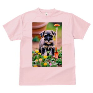 ~j`AViEU[ TVc fB[X t@  t  vg JWA 킢 lԗp h ̃fUC ʔ  ~j`AViEU[  Vx