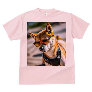 Č TVc fB[X t@  t  vg JWA 킢 lԗp h ̃fUC ʔ TOX Č