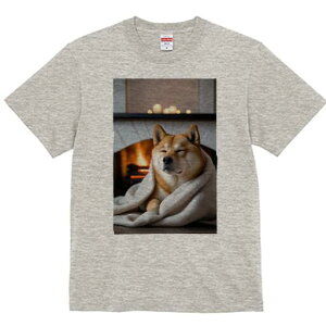 Č TVc fB[X t@  t  vg JWA 킢 lԗp h ̃fUC ʔ gF Č Lh ѕz