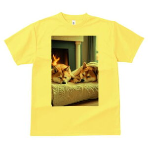 Č TVc fB[X t@  t  vg JWA 킢 lԗp h ̃fUC ʔ gF Č ѕz NbV