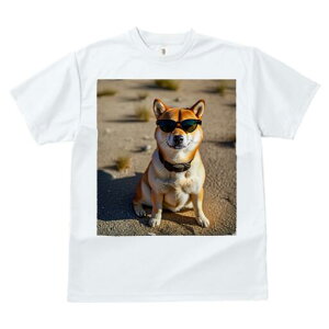 Č TVc fB[X t@  t  vg JWA 킢 lԗp h ̃fUC ʔ TOX Č 