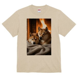 Č TVc fB[X t@  t  vg JWA 킢 lԗp h ̃fUC ʔ gF Č ѕz g