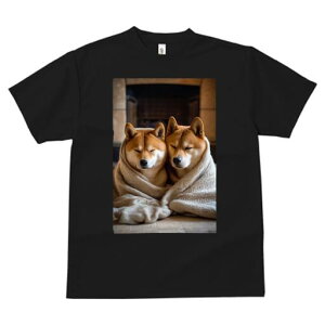 Č TVc fB[X t@  t  vg JWA 킢 lԗp h ̃fUC ʔ ѕz Č gF