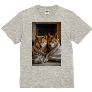 柴犬 Tシャツ レディース 犬ファン 半袖 春夏 犬柄 プリント カジュアル かわいい 人間用 個性派 ここだけのデザイン 面白 毛布 柴犬 暖炉