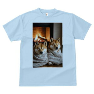 Č TVc fB[X t@  t  vg JWA 킢 lԗp h ̃fUC ʔ gF Č ѕz