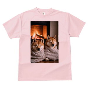 Č TVc fB[X t@  t  vg JWA 킢 lԗp h ̃fUC ʔ gF Č ѕz