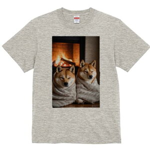 Č TVc fB[X t@  t  vg JWA 킢 lԗp h ̃fUC ʔ gF Č ѕz