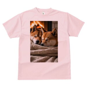 柴犬 Tシャツ レディース 犬ファン 半袖 春夏 犬柄 プリント カジュアル かわいい 人間用 個性派 ここだけのデザイン 面白 暖炉 柴犬 毛布