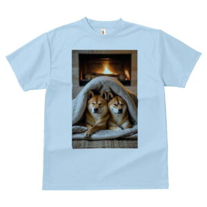 Č TVc fB[X t@  t  vg JWA 킢 lԗp h ̃fUC ʔ gF Č ѕz g bNX