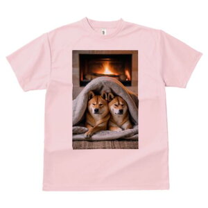 Č TVc fB[X t@  t  vg JWA 킢 lԗp h ̃fUC ʔ gF Č ѕz g bNX