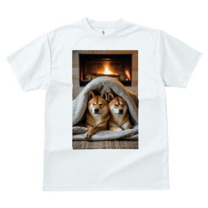 Č TVc fB[X t@  t  vg JWA 킢 lԗp h ̃fUC ʔ gF Č ѕz g bNX