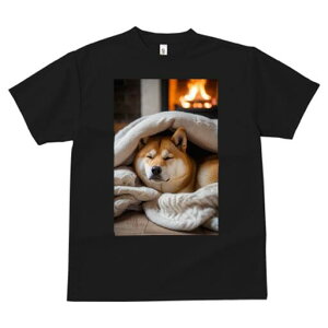 Č TVc fB[X t@  t  vg JWA 킢 lԗp h ̃fUC ʔ gF Č ѕz g bNX