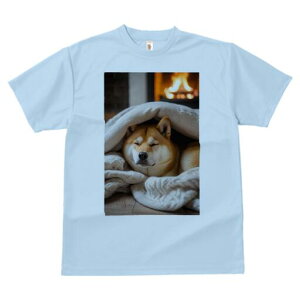 Č TVc fB[X t@  t  vg JWA 킢 lԗp h ̃fUC ʔ gF Č ѕz g bNX