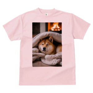 Č TVc fB[X t@  t  vg JWA 킢 lԗp h ̃fUC ʔ gF Č ѕz g bNX