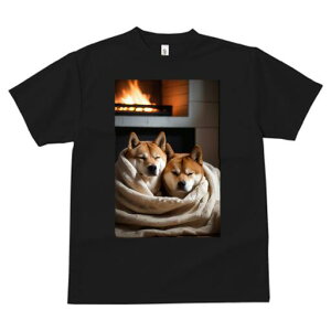 Č TVc fB[X t@  t  vg JWA 킢 lԗp h ̃fUC ʔ gF Č ѕz ~ g