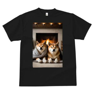 Č TVc fB[X t@  t  vg JWA 킢 lԗp h ̃fUC ʔ gF Č  ѕz ~