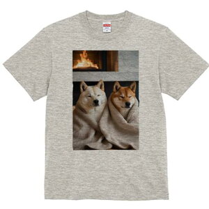 Č TVc fB[X t@  t  vg JWA 킢 lԗp h ̃fUC ʔ gF Č uPbg bNX  ~