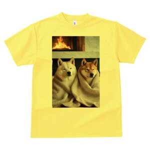 Č TVc fB[X t@  t  vg JWA 킢 lԗp h ̃fUC ʔ gF Č uPbg bNX  ~